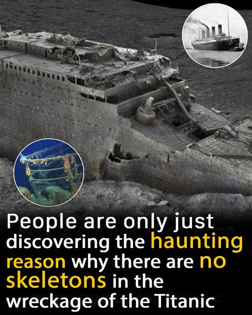 The mysterious absence of bodies in Titanic’s wreckage
