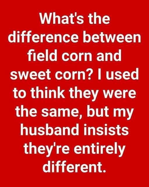 Field Corn vs. Sweet Corn: What’s the Real Difference?