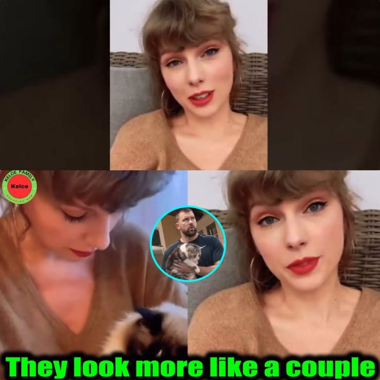 Feline Furore: Taylor Swift Delights Fans with Hilarious Update on Meredith and Travis Kelce Amid Wild Internet Rumors