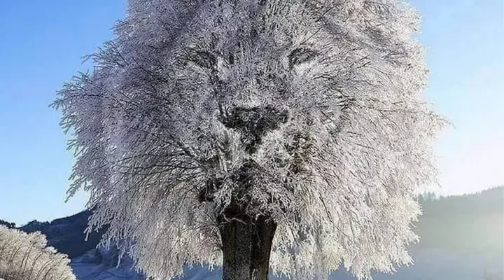 lion tree optical illusion