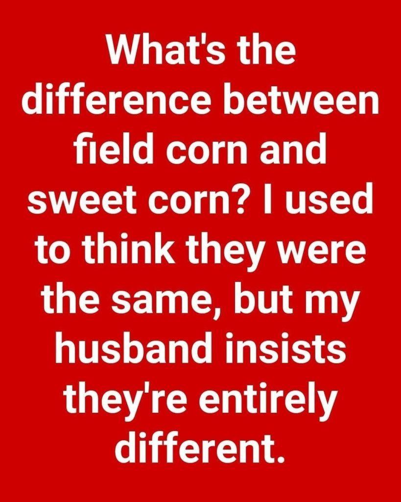 The Corn Mystery Most People Never Notice Until Someone Explains It