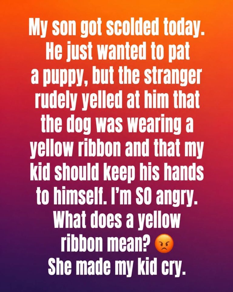 The Hidden Meaning Behind a Yellow Ribbon on a Dog Collar That Every Dog Lover Should Know
