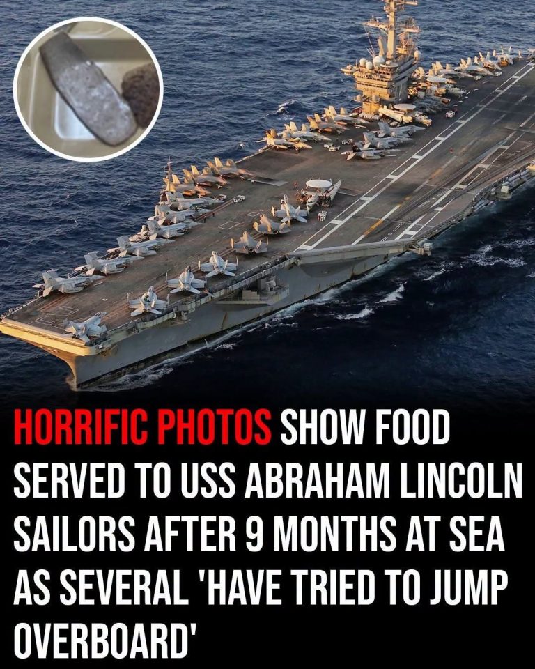 USS Abraham Lincoln Sailors Raise Concerns Over Food
