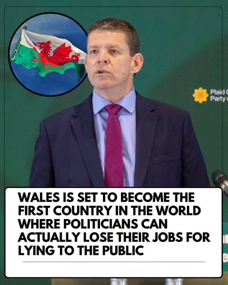 Wales Could Make Political Lies A Criminal Offence