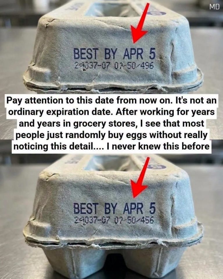What the Codes on Your Egg Carton Really Mean