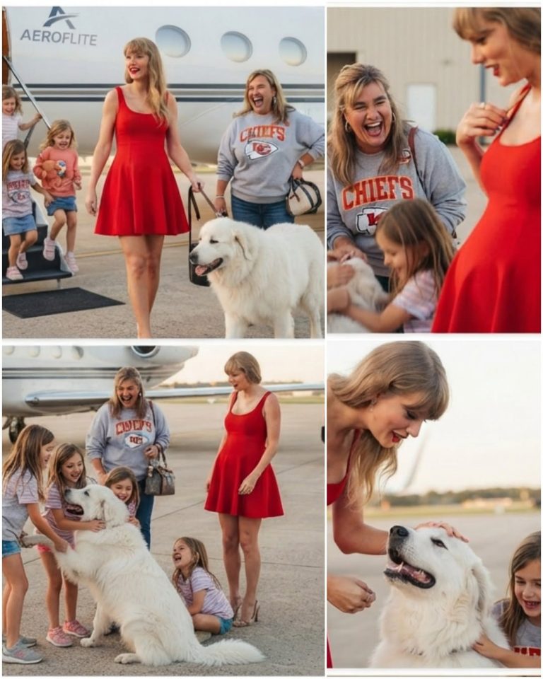 Taylor Swift Turns Heads in a Stunning Red Short Dress as She Arrives With Her Beloved White Dog, While Jason Kelce’s Three Daughters Playfully Gather Around the Family Pup Before Today’s Big Chiefs Game
