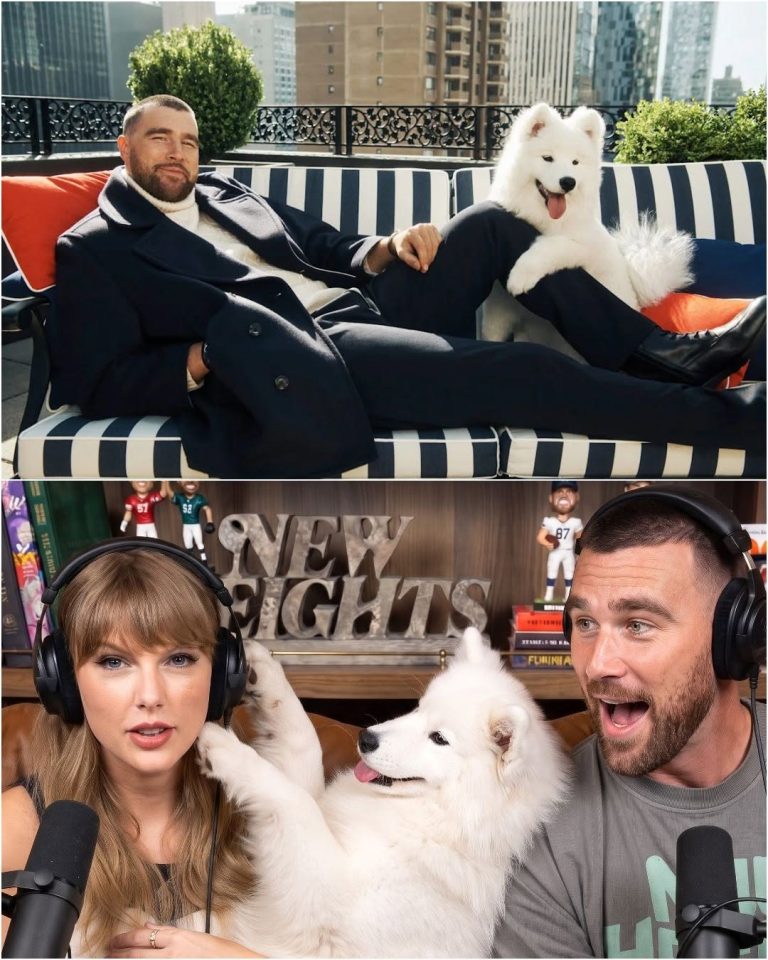 Taylor Swift and Travis Kelce’s Dog Just Made Her Debut in a New Fashion Campaign