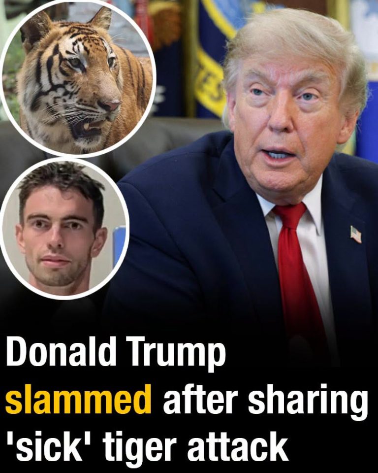 Donald Trump slammed after sharing ‘sick’ tiger attack video